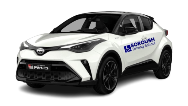 30-Min Tailored Disabled Driving